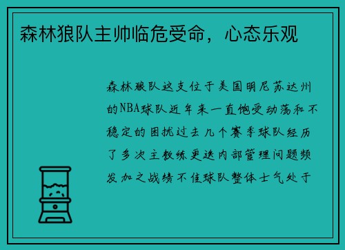 森林狼队主帅临危受命，心态乐观